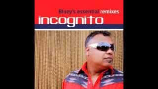 That&#39;s The Way Of The World [ Ski Oakenfull vs Incognito Remix ]