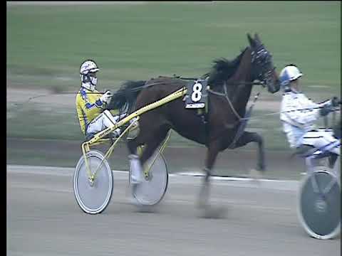 Trotto 24/11/2017 - 3ª corsa