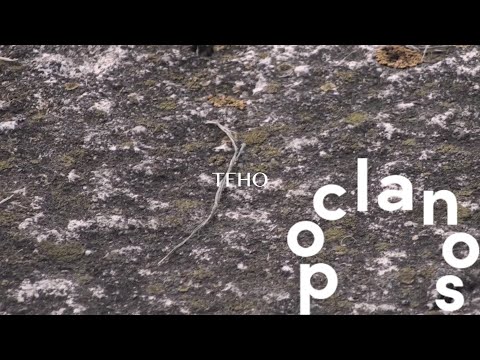 [MV] Teho - Teho Anthem / Official Music Video