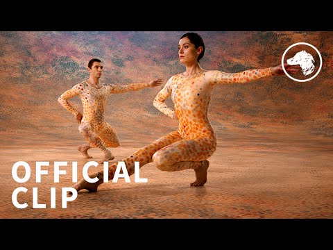 Cunningham Clip - Summerspace