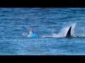 Le champion de surf Fanning échappe de peu à une attaque de requin