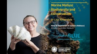 Thinking Blue Dr Lisa Kirkendale Marine mollusc biodiversity and conservation