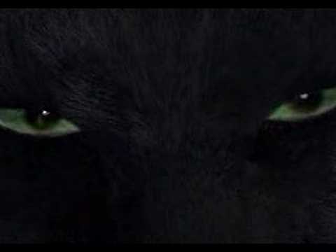 Chrono Cross - Destiny