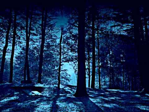 Extratone: [Cyberpunk Machine] 21. Diabarha - Lost Survivor