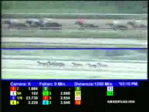 6TA CARRERA DOM 23 SEPTIEMBRE LA RINCONADA AUDIOHIPISMO