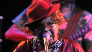 Download lagu John Mayall & the Bluesbreakers - Set 2 - 06/18/82 - Capitol Theatre () mp3