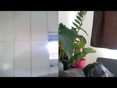 Hipn regresiva 420 Iulica ,statia templu si Argolida,ragzinii si farsele lor C si A Moraru