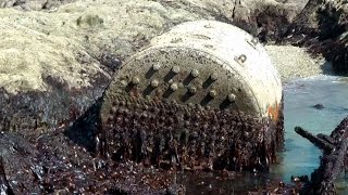 preview picture of video 'Talland Bay, Cornwall Ship Wreck 1922 - Marguerite's Boiler'