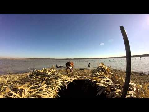 2015 Cache River Duck Hunt