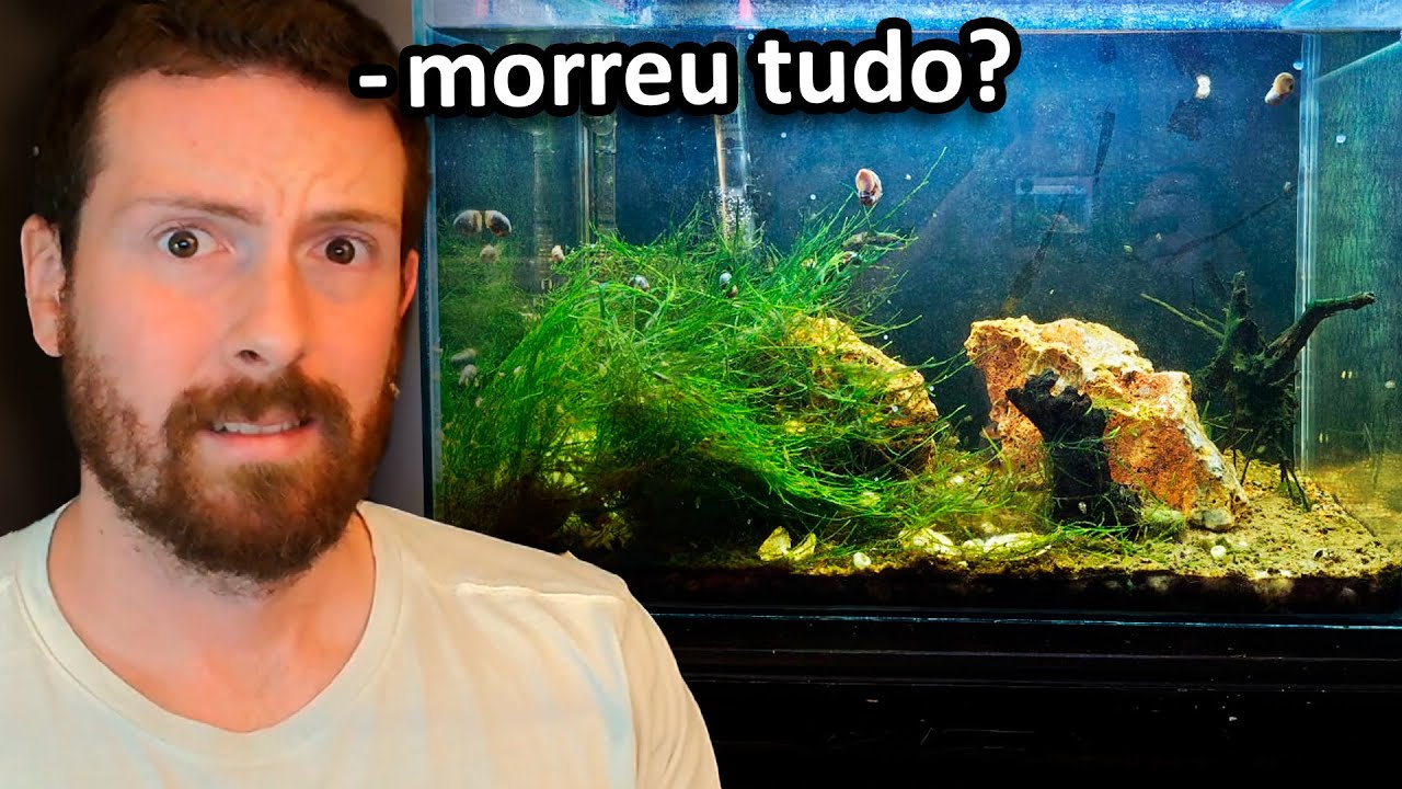 Meu aquário 1 ANO DEPOIS (muito triste...)