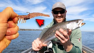 Speckled Trout Lure That SAVED MY TRIP... Tag Team Trip with Brewski