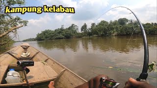 Download lagu AMPUHNYA umpan kelapa sawit bisa nguras isi sungai mp3 Download lagu AMPUHNYA umpan kelapa sawit bisa nguras isi sungai mp3