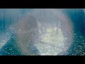 The Mammals "Sunshiner"