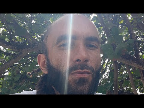 ZioNoMi - "Where Ever You Are"