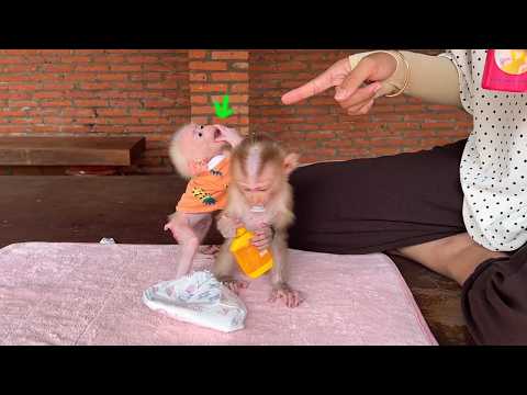 Mom Discipline Baby Minea To Sit Down & Let her Cleaning her Wound