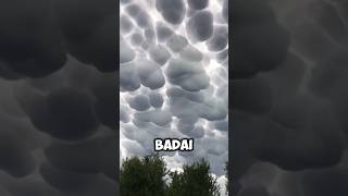 Download lagu Awan Mammatus - Pertanda Sebelum Hujan Lebat #shorts #hujan #badai #petir #anginkencang mp3 Download lagu Awan Mammatus - Pertanda Sebelum Hujan Lebat #shorts #hujan #badai #petir #anginkencang mp3