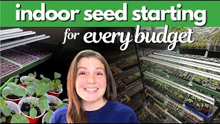 Seed starting setups: 5 ways, ALL budgets, INDOORS + favorit