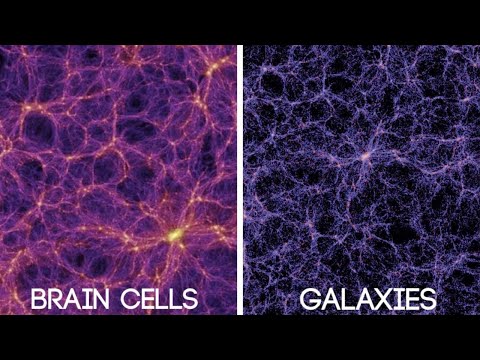 Scientists Can't Explain This...