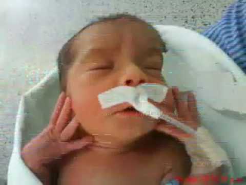 Magicas princesas, cover por Miguel Navas