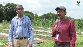 Arka Shama — New Watermelon from ICAR-IIHR