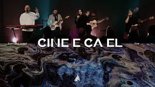 Cine e ca El?  Live  Harvest Arad