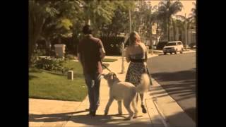 Sara by Ed Sheeran music video