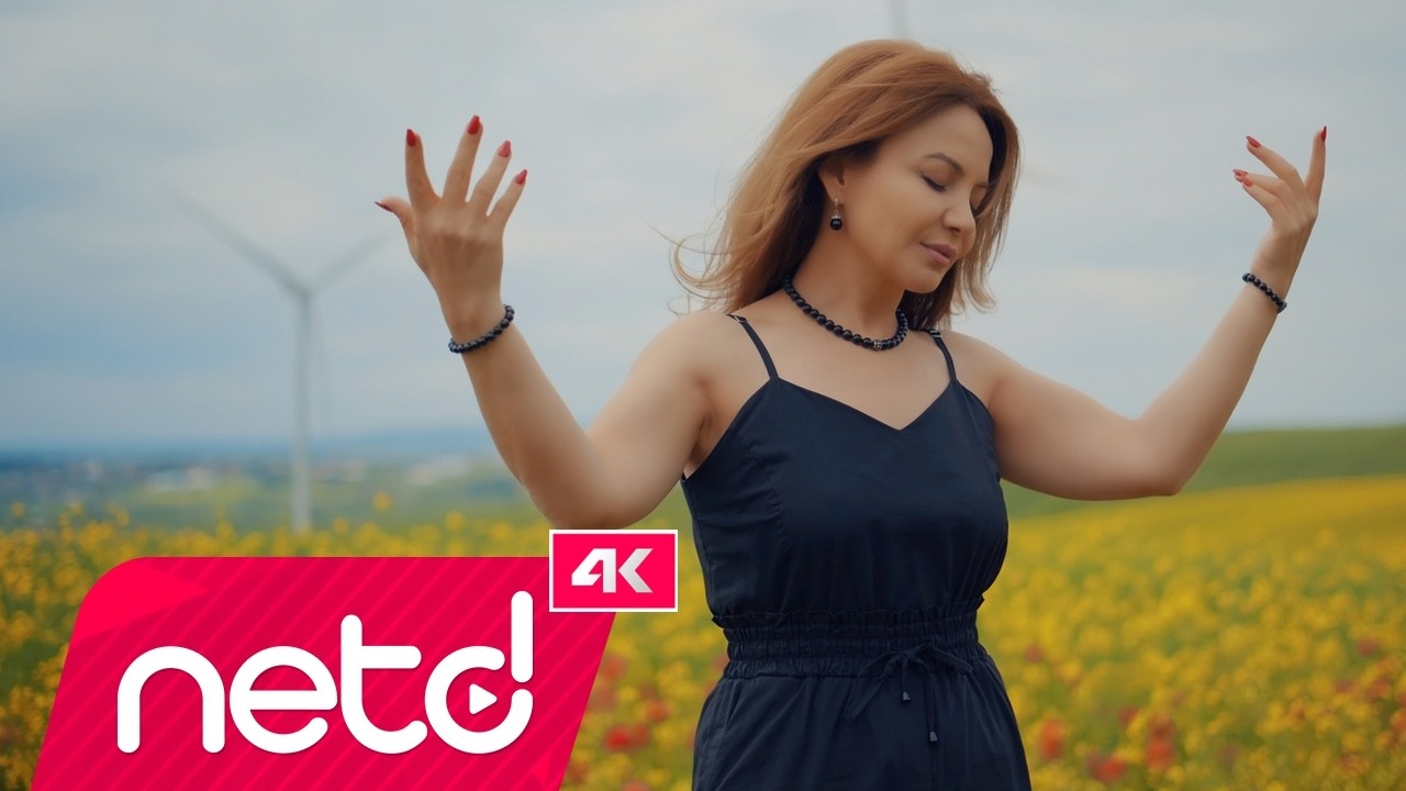 Aycan Sağlam - Ağlattı Gitti