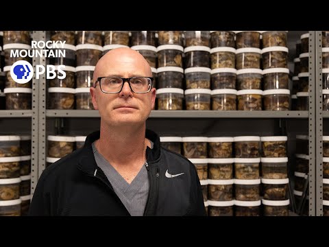 Life lessons from a coroner