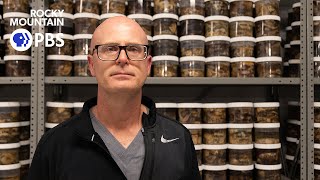 Life lessons from a coroner