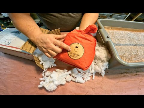 Releasing a variety of worms into their new composting bin home - vermicomposting