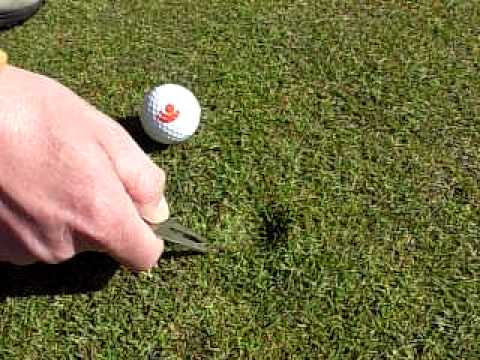 download lagu mp3 mp4 Anlgsgartner Kastrup, download lagu Anlgsgartner Kastrup gratis, unduh video klip Anlgsgartner Kastrup