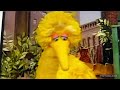 Episode 3824 Ending But Big Bird Has Emmy S Voice