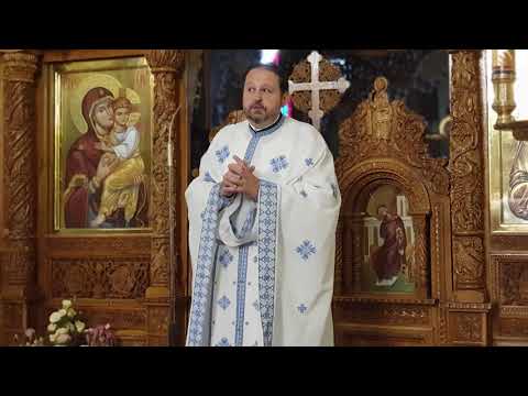 Umblarea pe mare - Potolirea furtunii / Pr. Adrian Chiriță (22.08.2021)