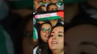 Download lagu yel yel suporter maroko untuk falestina#rajawi filistin mp3 Download lagu yel yel suporter maroko untuk falestina#rajawi filistin mp3