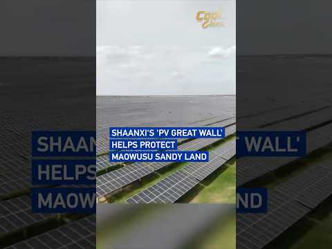 Shaanxi's 'PV Great Wall' helps protect Maowusu Sandy Land #coolchina