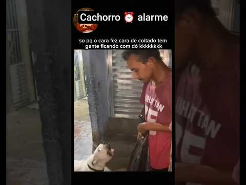 Encontrou o dog #subscribe