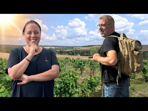 Vietnamese Beef Salad