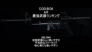 【CoDBO6】AR最強武器ランキング【コールオブデューティブラックオプス6】