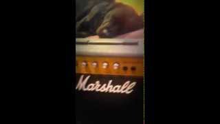 BEST AMP IN THE WORLD  (SOLID STATE MARSHALL ) PART 1