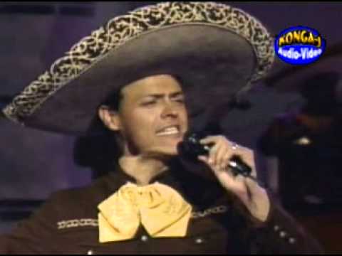 Lo Mucho Que Te Quiero - Pedro Fernandez