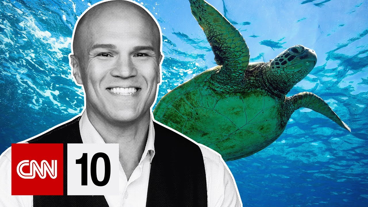 A Turtle Rescue In Maui | April 23, 2025