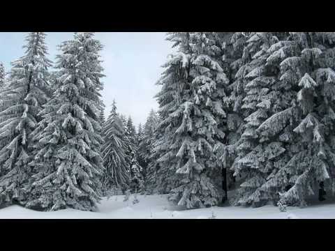 Corul Mira - Leganelul lui Iisus