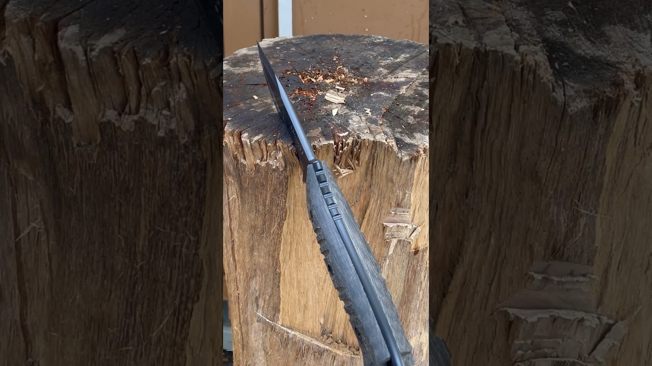 What’s the Schrade SCHF3N good for?#shorts #scarysharp #schrade #fixedblade #survivalknife