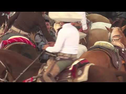 dic 29 LA COLONIAL - Torneo Coleadero Navideño 2025