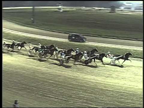 Trotto 08/01/2015 - 5° corsa