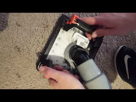 How to remove cat urine from carpet?