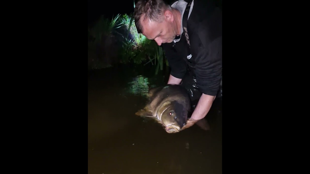 46lb 3oz Mirror - Etang Negreloube