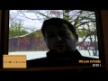 February 13 2011