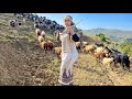 IRAN nomadic life | daily routine village life of Iran | Nomadic lifestyle of Iran