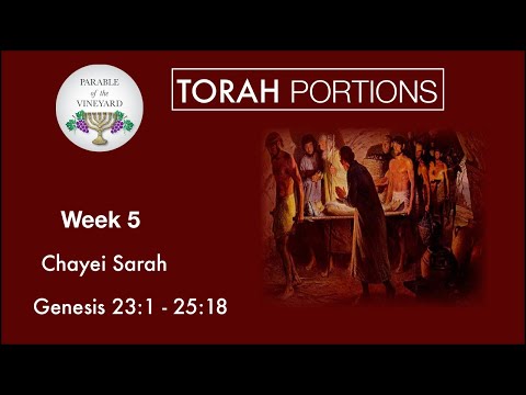 Torah Portions - Week 5 - Chayei Sarah l חַיֵּי שָׂרָה l “Life of Sarah” - W/ PoTV